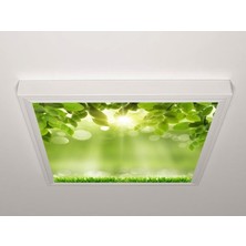 Gök Panel 60X60 LED Panel Sıva Üstü Desenli Tekli 46510715SU