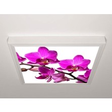 Gök Panel 60X60 LED Panel Sıva Üstü Desenli Tekli 46510721SU