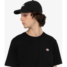 Dickies Hardwick.blk Şapka