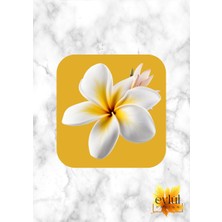 Eylül Design Beyaz Lotus Çiçeği Baskılı Özel Tasarım Baskılı Mdf Kare Bardak Altlığı