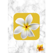 Eylül Design Beyaz Lotus Çiçeği Baskılı Özel Tasarım Baskılı Mdf Kare Bardak Altlığı
