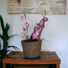 T. Concept Dekoratif Yuvarlak Çok Amaçlı Rattan Sepet Orta Boy