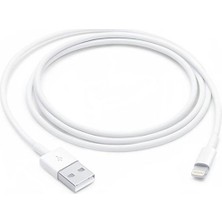 Gökkuşağı iPhone Lightning USB Hızlı Şarj Kablosu Apple iPhone 6 S 7 8 Plus x Xr Xs Max Se 11 12 13 14 Pro Max Plus Tüm Serilere Uyumlu