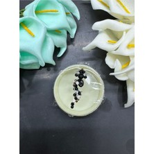Airbrush Tattoo Yüz Taşı Face Gems Yapışkan Burun Parmak Hızma MODEL42