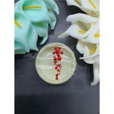 Airbrush Tattoo Yüz Taşı Face Gems Yapışkan Burun Parmak Hızma MODEL45