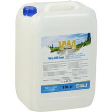 Wellmax İGSAŞ Adblue 10 Lt Euro 4/5/6