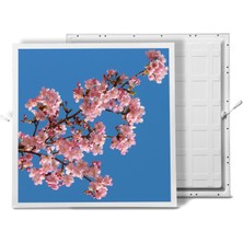 Gök Panel 60X60 LED Panel Aydınlatma Armatür Avize Sıva Altı Desenli Tekli 46510290SA