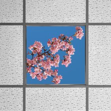 Gök Panel 60X60 LED Panel Aydınlatma Armatür Avize Sıva Altı Desenli Tekli 46510290SA