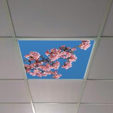 Gök Panel 60X60 LED Panel Aydınlatma Armatür Avize Sıva Altı Desenli Tekli 46510290SA