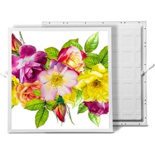 Gök Panel 60X60 LED Panel Aydınlatma Armatür Avize Sıva Altı Desenli Tekli 46510223SA