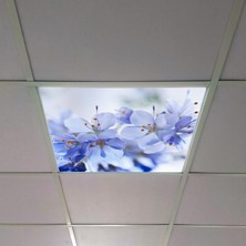 Gök Panel 60X60 LED Panel Aydınlatma Armatür Avize Sıva Altı Desenli Tekli 46510252SA