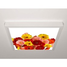 Gök Panel 60X60 LED Panel Aydınlatma Armatür Avize Sıva Üstü Desenli Tekli 46510706SU