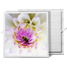 Gök Panel 60X60 LED Panel Aydınlatma Armatür Avize Sıva Altı Desenli Tekli 46510171SA