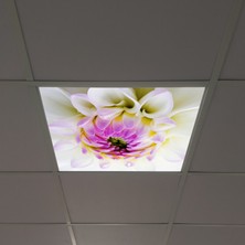 Gök Panel 60X60 LED Panel Aydınlatma Armatür Avize Sıva Altı Desenli Tekli 46510171SA