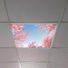 Gök Panel 60X60 LED Panel Aydınlatma Armatür Avize Sıva Altı Desenli Tekli 46510289SA