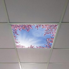 Gök Panel 60X60 LED Panel Aydınlatma Armatür Avize Sıva Altı Desenli Tekli 46510277SA