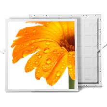 Gök Panel 60X60 LED Panel Aydınlatma Armatür Avize Sıva Altı Desenli Tekli 46510326SA