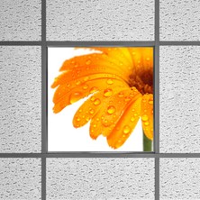 Gök Panel 60X60 LED Panel Aydınlatma Armatür Avize Sıva Altı Desenli Tekli 46510326SA