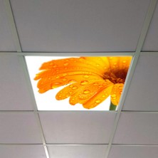 Gök Panel 60X60 LED Panel Aydınlatma Armatür Avize Sıva Altı Desenli Tekli 46510326SA