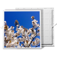 Gök Panel 60X60 LED Panel Aydınlatma Armatür Avize Sıva Altı Desenli Tekli 46510206SA