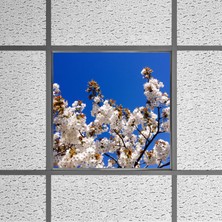 Gök Panel 60X60 LED Panel Aydınlatma Armatür Avize Sıva Altı Desenli Tekli 46510206SA