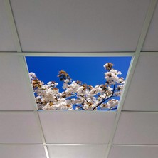 Gök Panel 60X60 LED Panel Aydınlatma Armatür Avize Sıva Altı Desenli Tekli 46510206SA