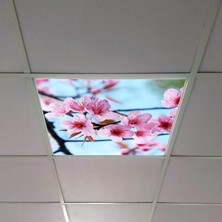 Gök Panel 60X60 LED Panel Aydınlatma Armatür Avize Sıva Altı Desenli Tekli 46510282SA