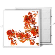 Gök Panel 60X60 LED Panel Aydınlatma Armatür Avize Sıva Altı Desenli Tekli 46510219SA
