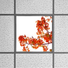 Gök Panel 60X60 LED Panel Aydınlatma Armatür Avize Sıva Altı Desenli Tekli 46510219SA