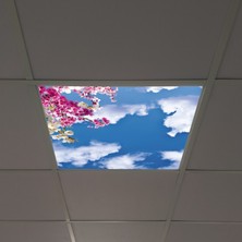 Gök Panel 60X60 LED Panel Aydınlatma Armatür Avize Sıva Altı Desenli Tekli 46510186SA