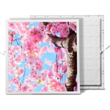 Gök Panel 60X60 LED Panel Aydınlatma Armatür Avize Sıva Altı Desenli Tekli 46510284SA