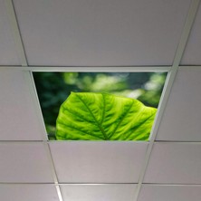 Gök Panel 60X60 LED Panel Aydınlatma Armatür Avize Sıva Altı Desenli Tekli 46510330SA
