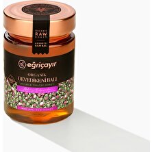 Eğriçayır Organik Devedikeni Balı 450g