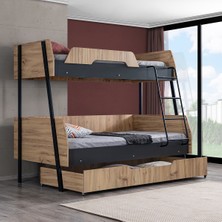 Setay Alba Geniş Yavrulu Ranza, Antrasit