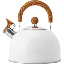 Benagee Çaydanlık, 2.5l Paslanmaz Çelik Islık Çalan Çaydanlıklar, Kulplu, Yüksek Düdüklü ve Pas Önleyici Hızlı Kaynatma (Yurt Dışından)