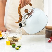 Benagee Çaydanlık, 2.5l Paslanmaz Çelik Islık Çalan Çaydanlıklar, Kulplu, Yüksek Düdüklü ve Pas Önleyici Hızlı Kaynatma (Yurt Dışından)