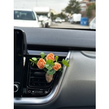 Oto Aksesuar/koku-Mini Buket Somon