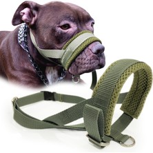 Köpek Ağızlığı -Havlama ve Çekiştirme Önleyici
