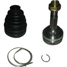 RIW Aks Kafası Diş Absli 24 22 58 48 81 RTO3036A 333108