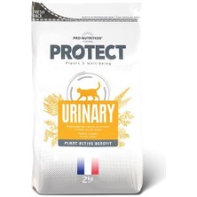 Pro Nutrition Protect Urinary Idrar Yolu Sağlığı Destekleyici Yetişkin Kedi Maması 2 kg