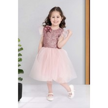 Mnk Baby & Kids Pembe Küpeli Pul Payet Tüllü Kız Çocuk Elbise Özel Günler İçin MNK0526
