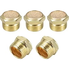 Ali The Stereo 2" Sinter Bronz Susturucu Kısa Tip (Lisinya) Alithestereo