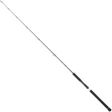 Daiwa Legalis O Bf Jg 173 cm 100-300 gr Tek Parça Jig Kamışı