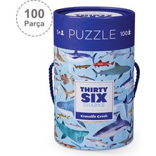 Crocodile Creek Puzzle - 100 Parça - Köpek Balıkları