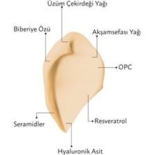 M.Asam Vinolift Sıkılaştırıcı Yüz Kremi 50 ml