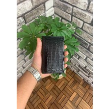 Guard Croco Baskılı Siyah Pasaport Kılıfı - GRD2403XW22407