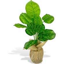 Nettenevime Yapay Çiçek Keten Saksıda Difenbahya Yeşil 12DAL 55CM Salon Çiçeği Yapay Bitki