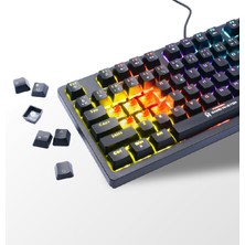 Gamemaster MECH-1000 Kablolu Rgb Mekanik Klavye