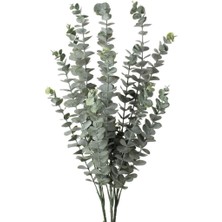 Nettenevime 3lü Set Yapay Çiçek Pastel Yeşil Okaliptus 3dallı Uzun Dal 76CM Eucalyptus