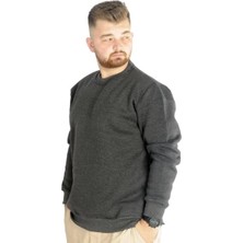 Superxl Erkek Sweatshirt Bisiklet Yaka Basic 20131 Antramelanj